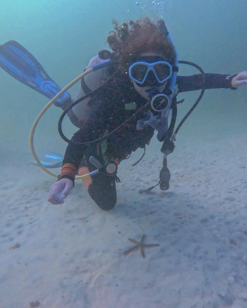 Explore Destin’s hidden underwater treasures